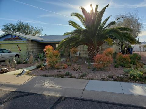 1074 S Palo Verde Dr, Apache Junction, AZ 85120 photo 1