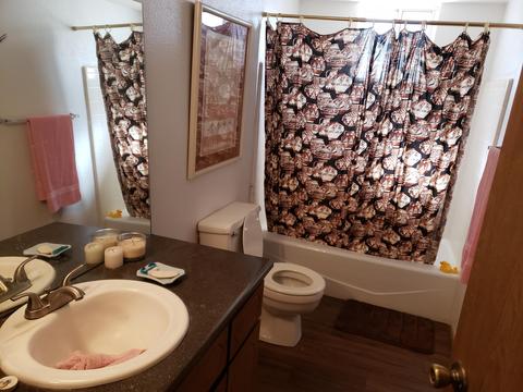 1074 S Palo Verde Dr, Apache Junction, AZ 85120 photo 9