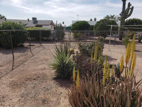 1074 S Palo Verde Dr, Apache Junction, AZ 85120 photo 17
