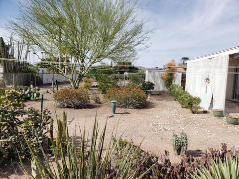 1074 S Palo Verde Dr, Apache Junction, AZ 85120 photo 18