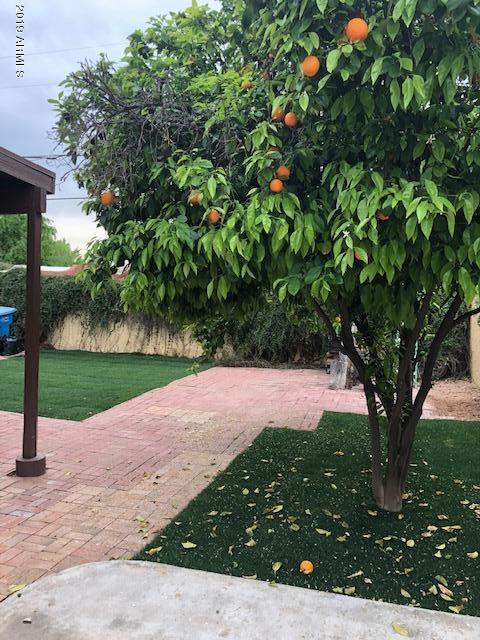 1565 E Cheery Lynn Rd E, Phoenix, AZ 85014 photo 28