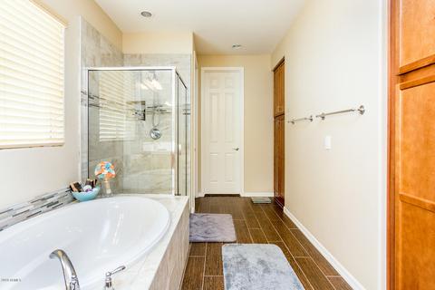 3935 E Ficus Way, Gilbert, AZ 85298 photo 19