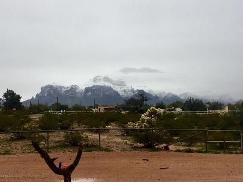 925 W Tepee St, Apache Junction, AZ 85120 photo 2