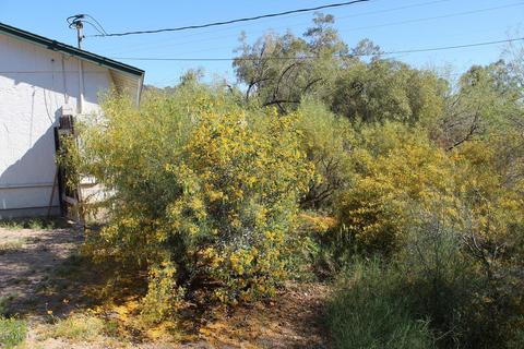 1402 E Desert Cove Ave, Phoenix, AZ 85020 photo 8
