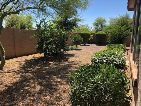 2427 E Aris Dr, Gilbert, AZ 85298 photo 4
