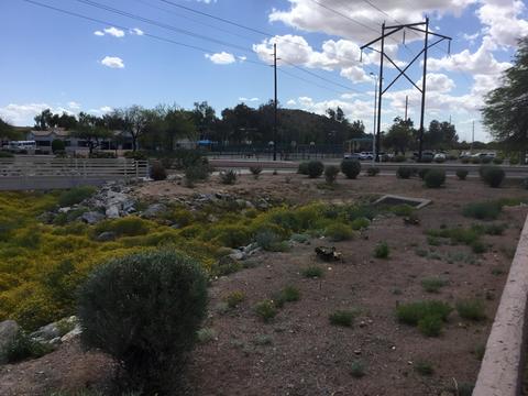 4102 E Ray Rd #1002, Phoenix, AZ 85044 photo 31