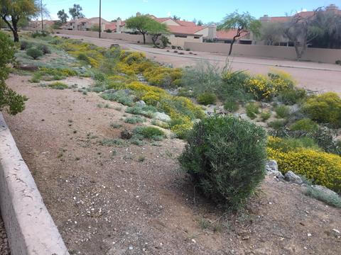 4102 E Ray Rd #1002, Phoenix, AZ 85044 photo 30