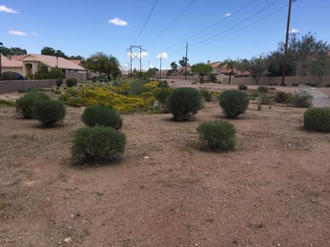 4102 E Ray Rd #1002, Phoenix, AZ 85044 photo 37