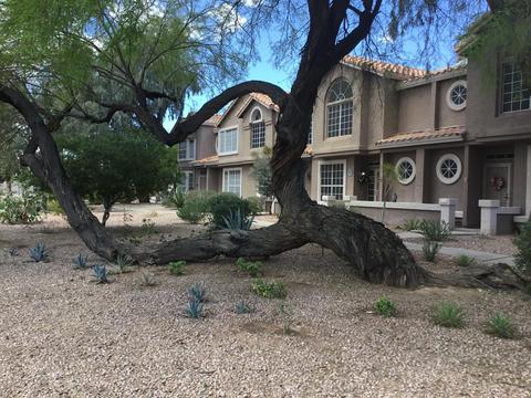 4102 E Ray Rd #1002, Phoenix, AZ 85044 photo 36