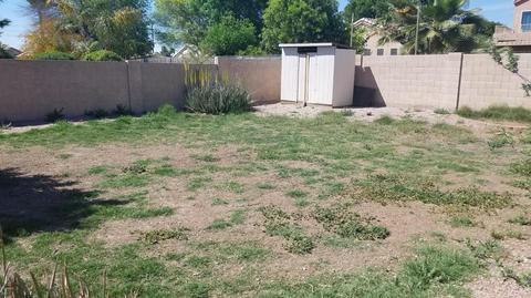 1672 E Palomino Dr, Gilbert, AZ 85296 photo 2