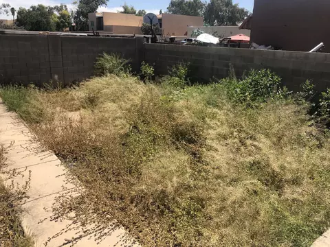 2739 E Marconi Ave, Phoenix, AZ 85032 photo 11
