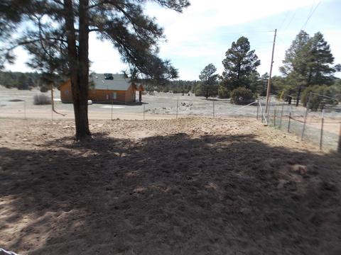 2177 Devins Pl, Overgaard, AZ 85933 photo 34