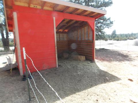 2177 Devins Pl, Overgaard, AZ 85933 photo 38