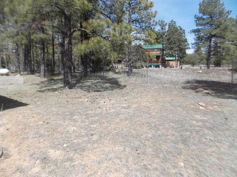2177 Devins Pl, Overgaard, AZ 85933 photo 29