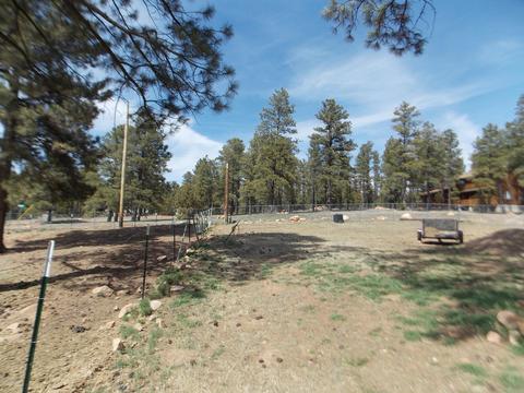 2177 Devins Pl, Overgaard, AZ 85933 photo 41