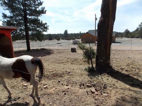 2177 Devins Pl, Overgaard, AZ 85933 photo 37