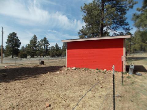 2177 Devins Pl, Overgaard, AZ 85933 photo 40
