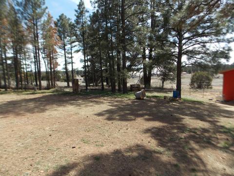 2177 Devins Pl, Overgaard, AZ 85933 photo 43