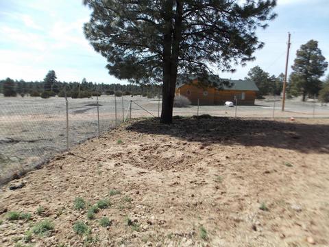 2177 Devins Pl, Overgaard, AZ 85933 photo 39