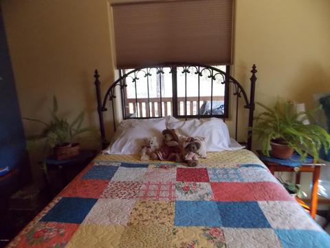 2177 Devins Pl, Overgaard, AZ 85933 photo 20