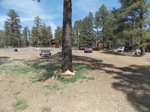 2177 Devins Pl, Overgaard, AZ 85933 photo 42