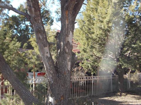 2134 Cottontail Rd, Overgaard, AZ 85933 photo 10
