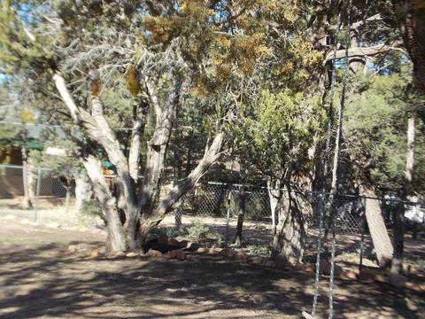 2134 Cottontail Rd, Overgaard, AZ 85933 photo 11