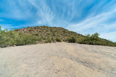 1165 N Steele --, Mesa, AZ 85207 photo 39