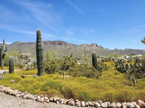 5012 N Warner Dr, Apache Junction, AZ 85120 photo 38