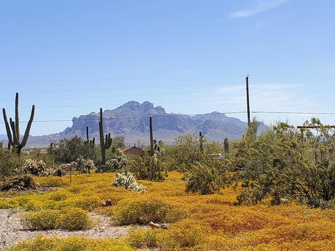 5012 N Warner Dr, Apache Junction, AZ 85120 photo 37