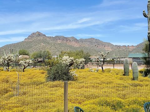5012 N Warner Dr, Apache Junction, AZ 85120 photo 35