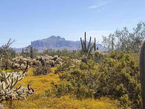 5012 N Warner Dr, Apache Junction, AZ 85120 photo 39