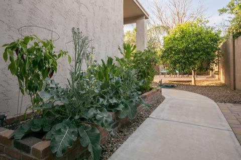 1724 E Cotton Ct, Gilbert, AZ 85234 photo 39