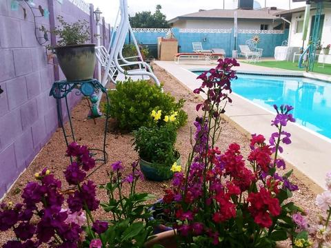 4947 E Flower Ave, Mesa, AZ 85206 photo 1