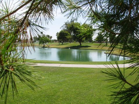 4947 E Flower Ave, Mesa, AZ 85206 photo 13