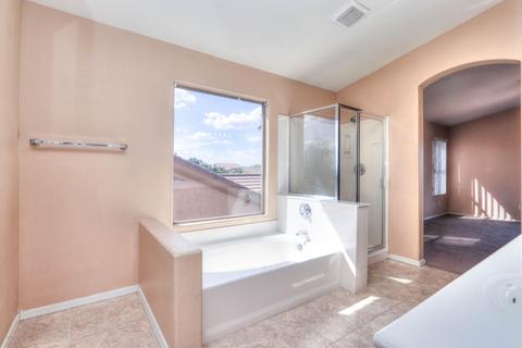 10250 E Pantera Ave, Mesa, AZ 85212 photo 41