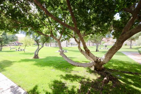 30 E Brown Rd #1016, Mesa, AZ 85201 photo 34