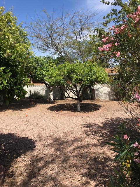 4063 E Concho Ave, Mesa, AZ 85206 photo 16