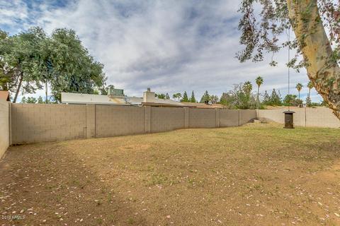 206 E Laurel Ave, Gilbert, AZ 85234 photo 29