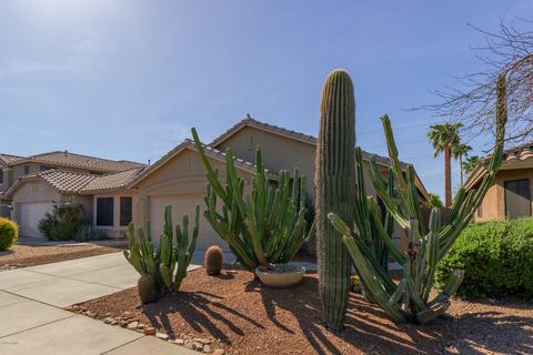 3325 E Blackhawk Dr, Phoenix, AZ 85050 photo 3