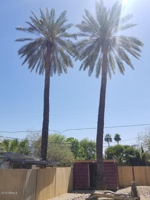 2129 E Sheridan St, Phoenix, AZ 85006 photo 24