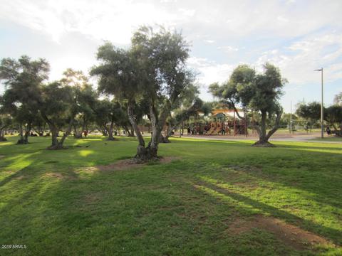 3033 E Devonshire Ave #3038, Phoenix, AZ 85016 photo 15