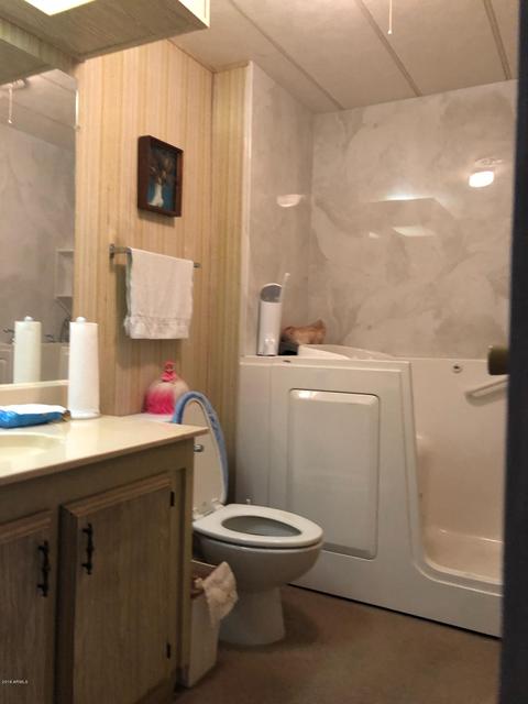8273 E Dolphin Ave, Mesa, AZ 85208 photo 11