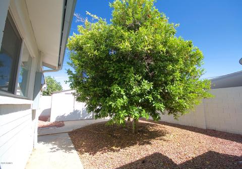 1419 S Lawther Dr, Apache Junction, AZ 85120 photo 30