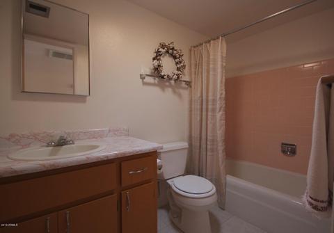 1419 S Lawther Dr, Apache Junction, AZ 85120 photo 15