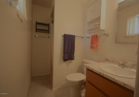 1419 S Lawther Dr, Apache Junction, AZ 85120 photo 19