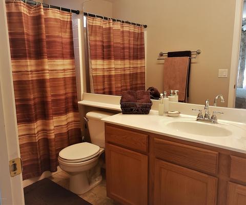 1619 E Desert Ln, Phoenix, AZ 85042 photo 10