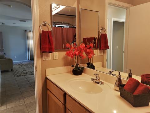 1619 E Desert Ln, Phoenix, AZ 85042 photo 12