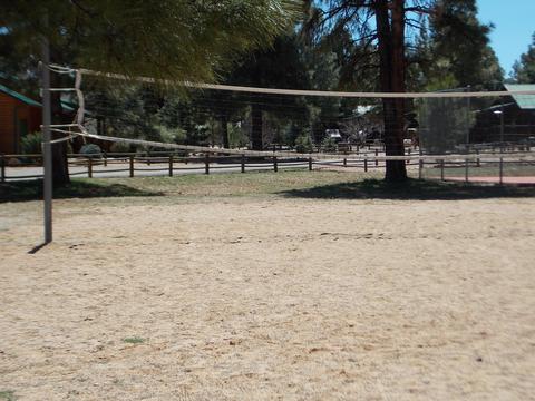 2679 Lodge Loop, Overgaard, AZ 85933 photo 37