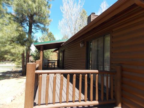 2679 Lodge Loop, Overgaard, AZ 85933 photo 24